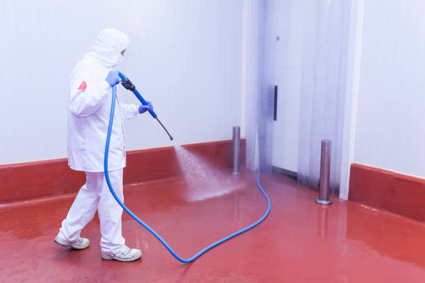 Best Oil Spill Cleanup  in East Alton, IL