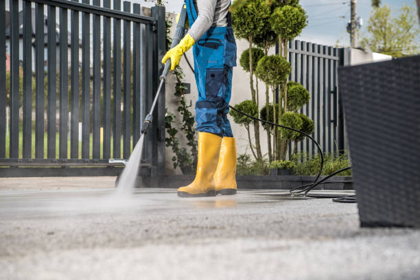 Best Dumpster Area Cleaning  in East Alton, IL